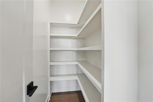 1518 NW 106th Ter, Kansas City, MO 64155 - view of pantry