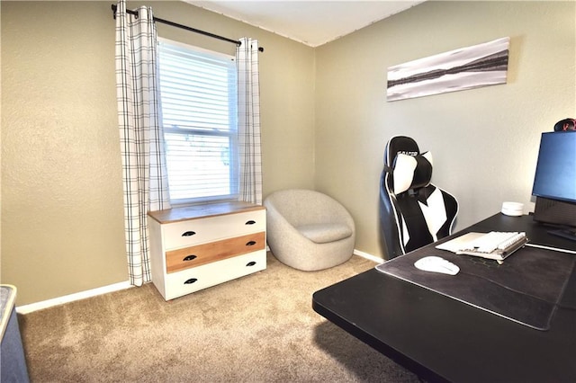 office area featuring baseboards and carpet floors