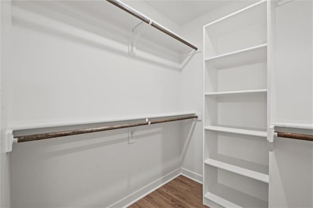 spacious closet featuring wood finished floors