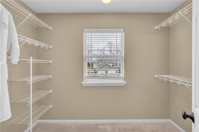 walk in closet with carpet