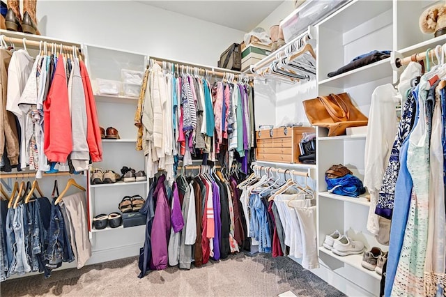 spacious closet featuring carpet