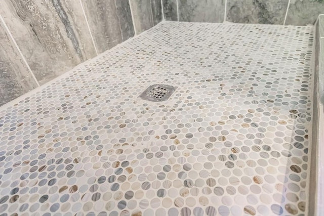 interior details featuring a tile shower