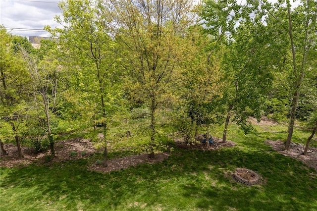 8755 N Chatham Ave, Kansas City, MO 64154 - view of green lawn