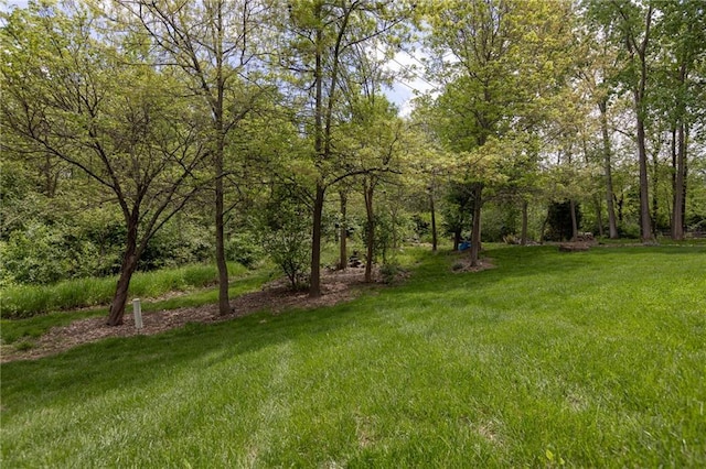 8755 N Chatham Ave, Kansas City, MO 64154 - view of grassy yard