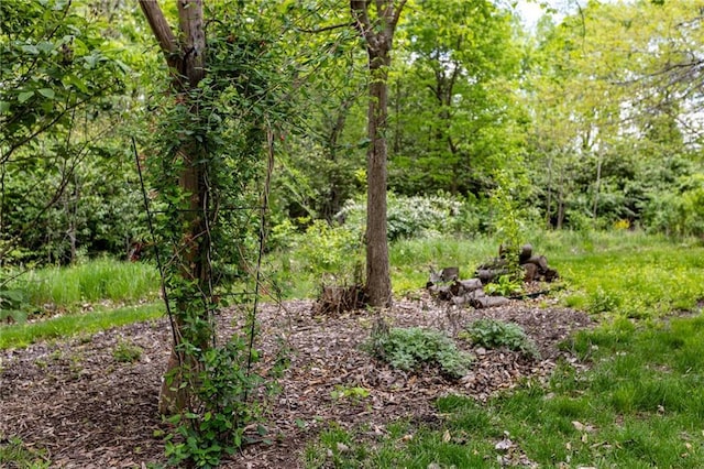 8755 N Chatham Ave, Kansas City, MO 64154 - view of tree filled area