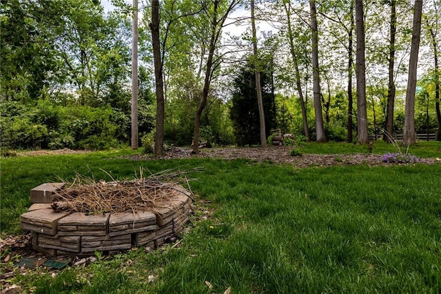 8755 N Chatham Ave, Kansas City, MO 64154 - view of yard