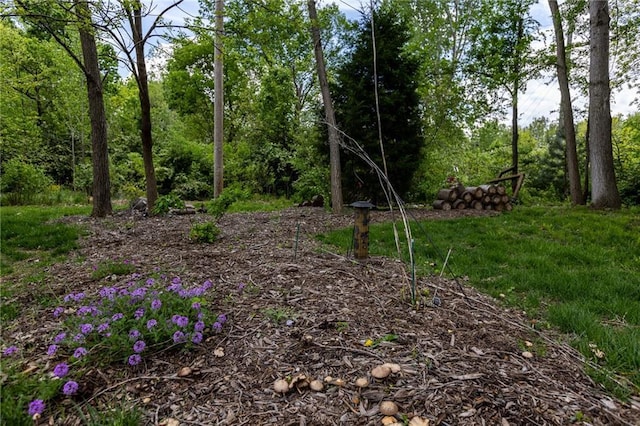 8755 N Chatham Ave, Kansas City, MO 64154 - view of undeveloped land