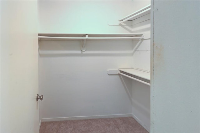 spacious closet with carpet floors