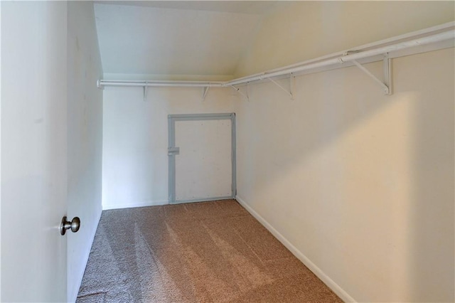 spacious closet featuring carpet flooring and vaulted ceiling