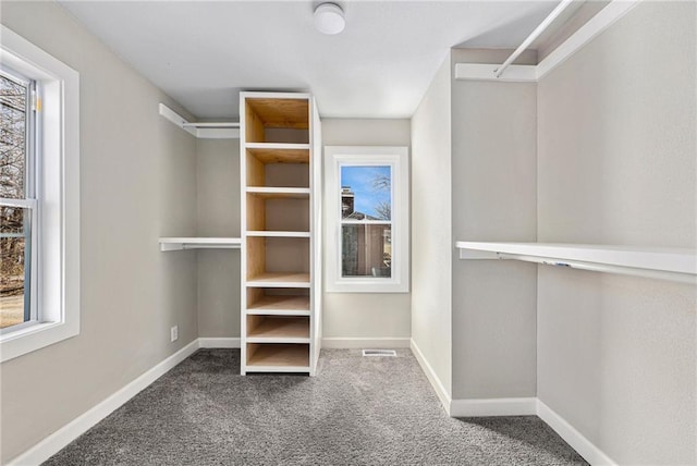 walk in closet with visible vents and carpet floors