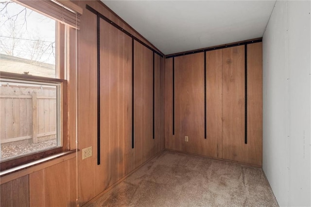 interior space with carpet and wood walls