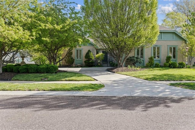 obstructed view of property featuring a front lawn, stucco siding, and driveway