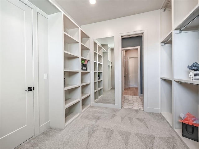 walk in closet with carpet floors