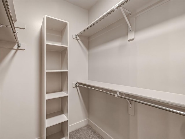 spacious closet with carpet floors