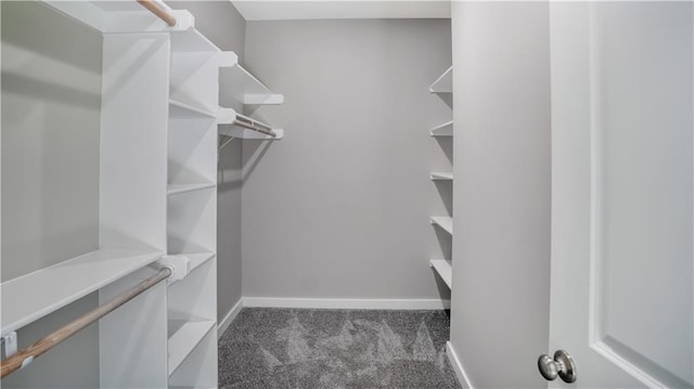 spacious closet featuring carpet flooring