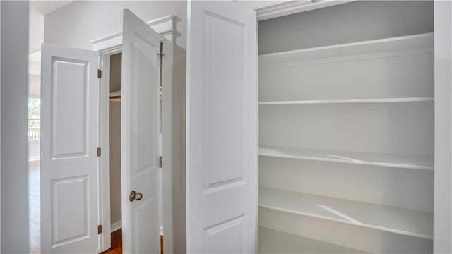 view of closet