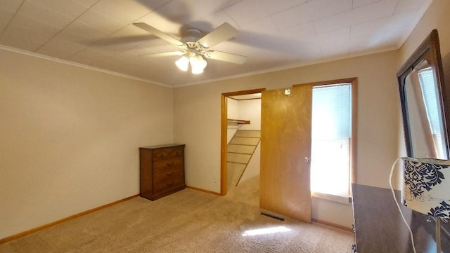 unfurnished bedroom featuring a walk in closet, baseboards, carpet floors, and ornamental molding