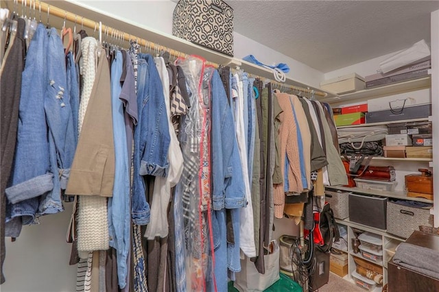 21212 E 52nd Street Ct, Blue Springs, MO 64015 - view of spacious closet