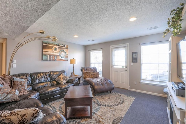 21212 E 52nd Street Ct, Blue Springs, MO 64015 - living area with carpet, baseboards, visible vents, and a textured ceiling