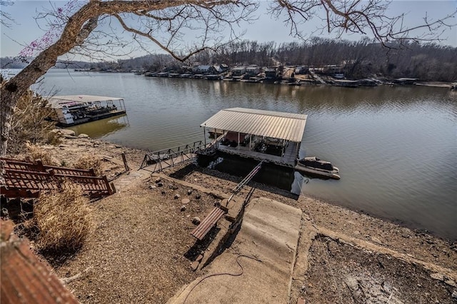 dock area with a water view