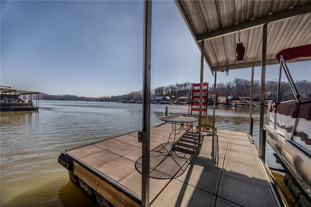 dock area with a water view