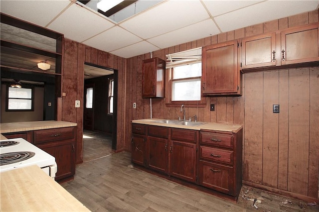 kitchen featuring wooden walls, a drop ceiling, light countertops, light wood-style floors, and a sink