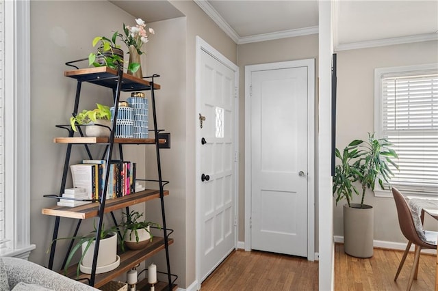 entrance foyer featuring ornamental molding, baseboards, and wood finished floors