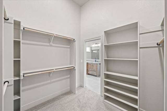 spacious closet featuring carpet flooring and a sink