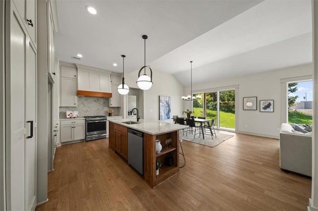 22109 W 80th Ter, Shawnee, KS 66220 - kitchen featuring stainless steel appliances, plenty of natural light, dark wood finished floors, tasteful backsplash, and lofted ceiling