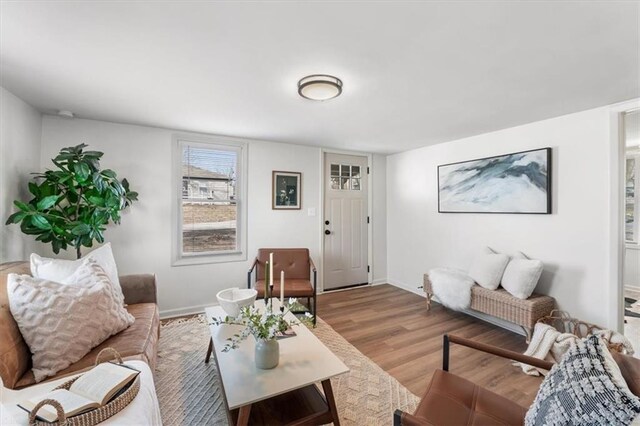 living area featuring wood finished floors and baseboards