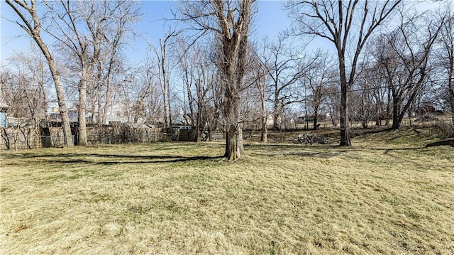 view of yard with fence