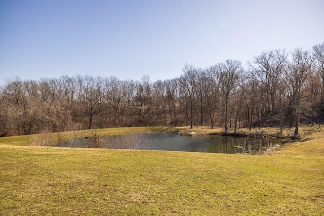 view of water feature with a forest view