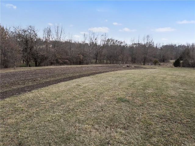 view of yard with a wooded view