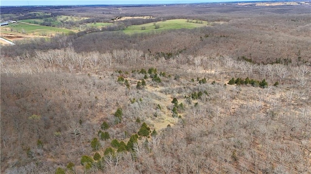 Quarry Ln, Barnett, MO 65011