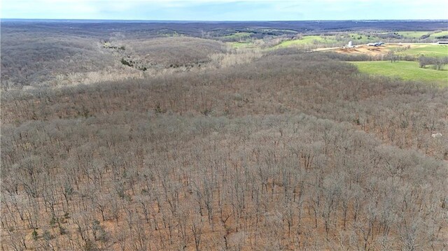 Quarry Ln, Barnett, MO 65011