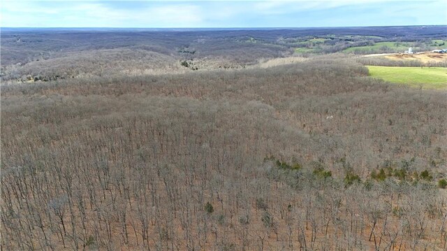 Quarry Ln, Barnett, MO 65011