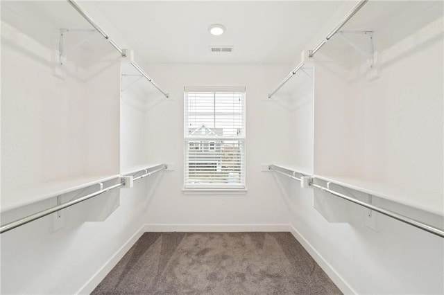 spacious closet with visible vents and carpet floors