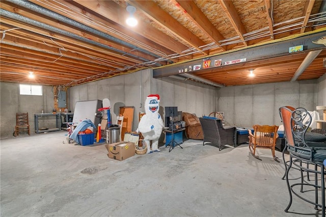 basement featuring electric panel