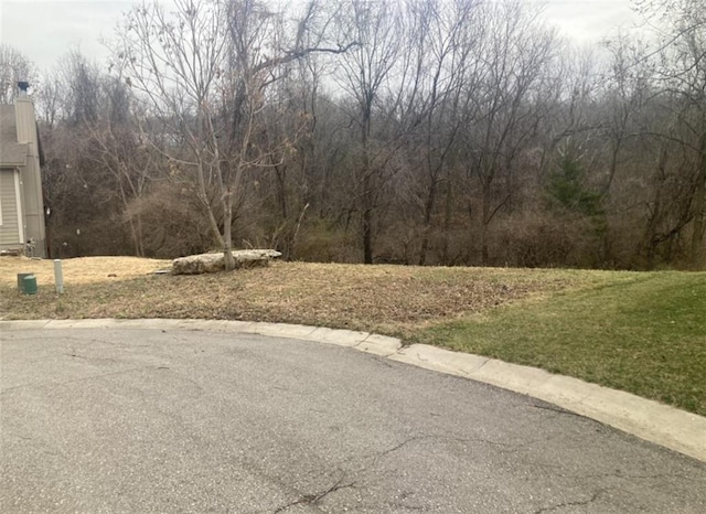 4205 S Shrank Ct, Independence, MO 64055 - photo 4