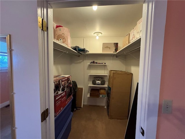 spacious closet with carpet flooring