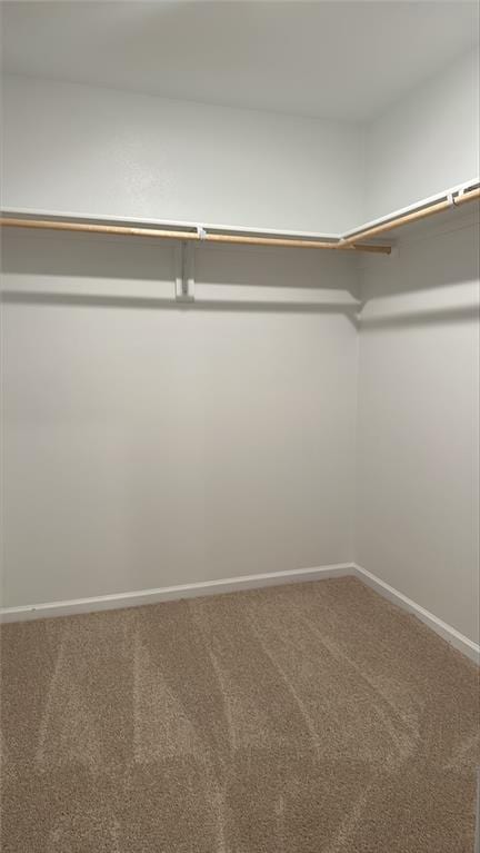 spacious closet featuring carpet