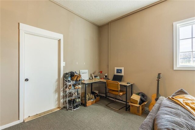 carpeted office space with a textured ceiling