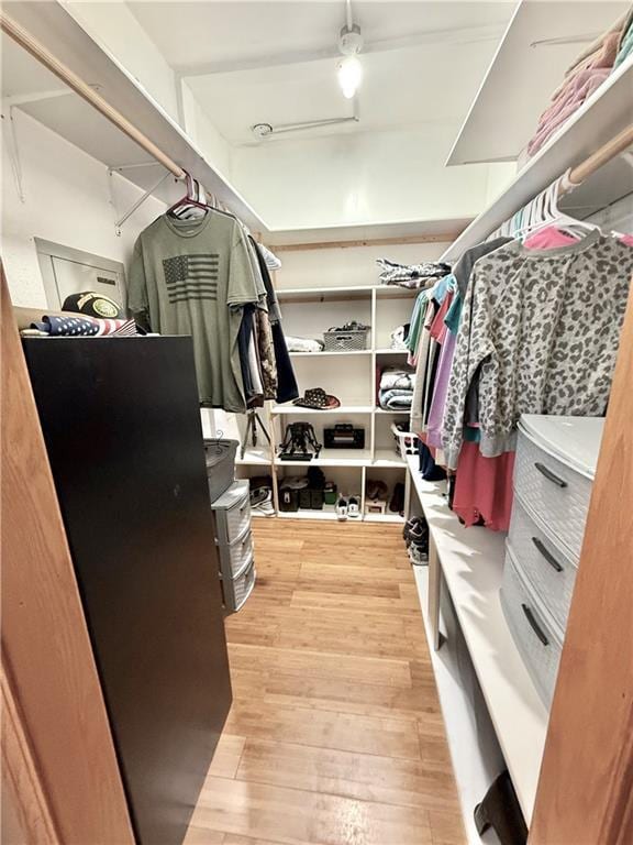 walk in closet with light wood-type flooring
