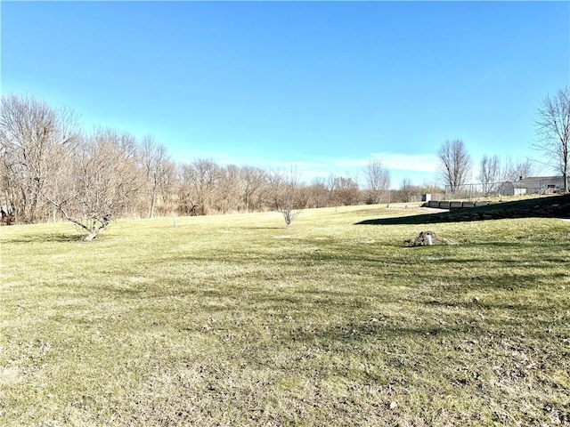 view of yard with a rural view