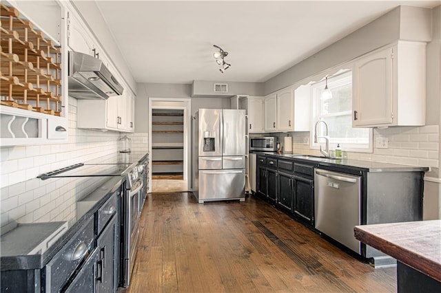 11643 Glen Arbor Ter, Kansas City, MO 64114 - kitchen featuring appliances with stainless steel finishes, under cabinet range hood, white cabinetry, and decorative backsplash