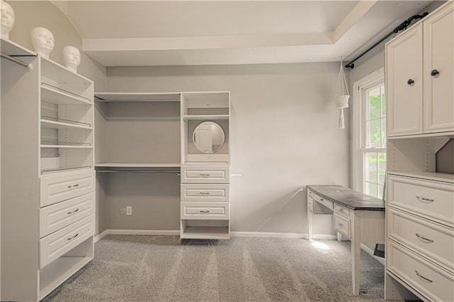 11643 Glen Arbor Ter, Kansas City, MO 64114 - spacious closet with carpet floors