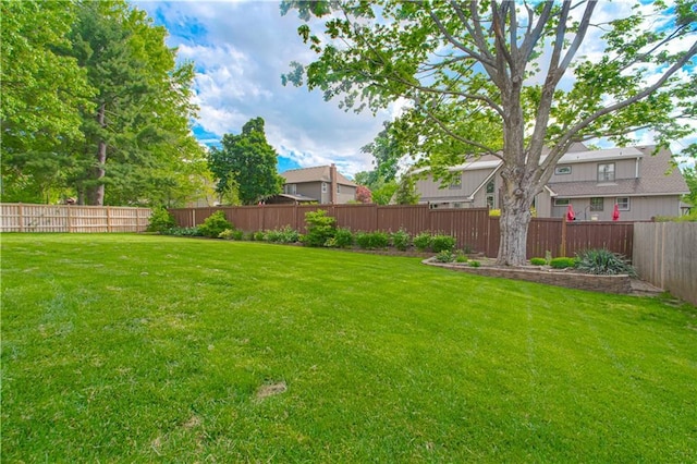 11643 Glen Arbor Ter, Kansas City, MO 64114 - view of yard