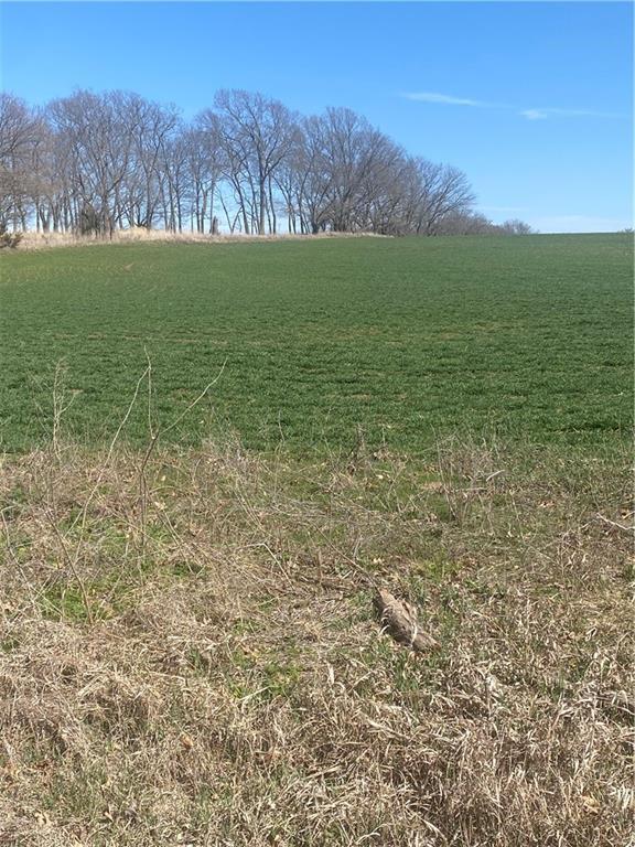 00000 243rd St, Mclouth, KS 66054 - photo 1