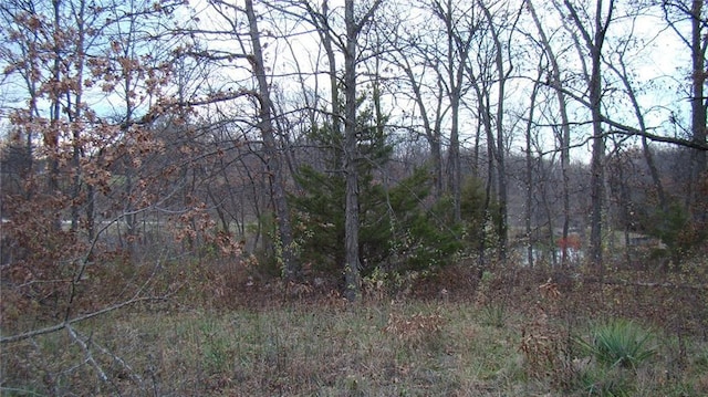 Kite Rd, Odessa, MO 64076