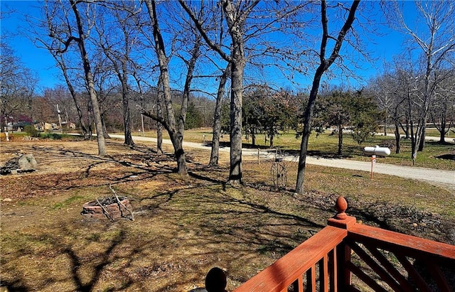 view of yard featuring view of wooded area